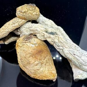 Melmac OG Magic Mushrooms